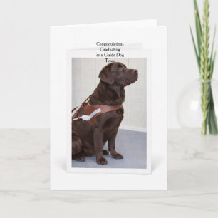Tarjeta Graduación de Perro Guía Labrador de Chocolate