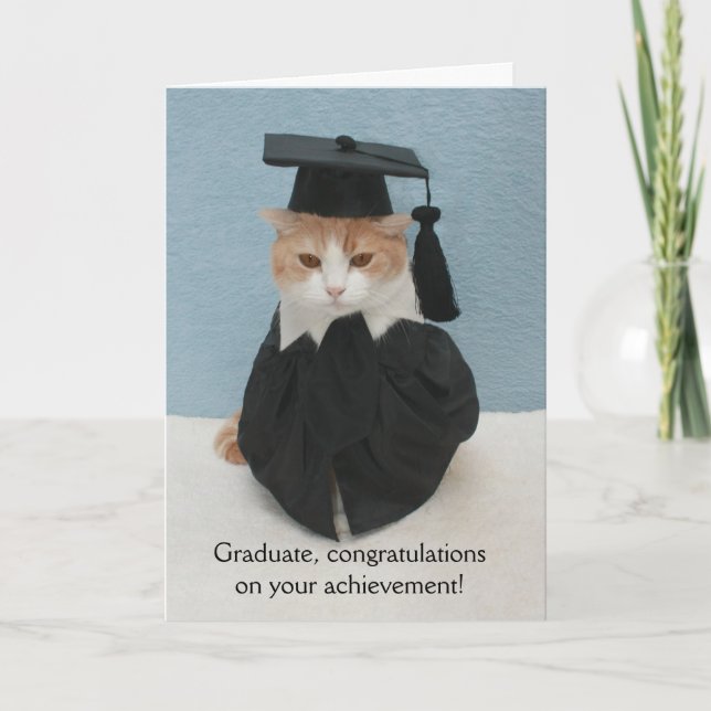 Tarjeta Graduación divertida de gatos (Anverso)