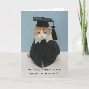 Tarjeta Graduación divertida de gatos