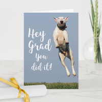 Graduación divertida de perro felicitaciones Grad