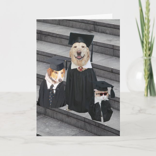 Tarjeta Graduación divertida de perros (Anverso)