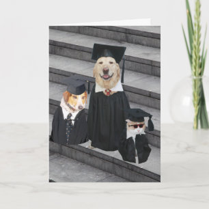 Tarjeta Graduación divertida de perros
