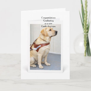 Tarjeta Graduación Equipo de Perro Guía Labrador Amarillo 