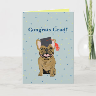 Tarjeta Graduación, Felicidades Graduado! Bulldog Francés