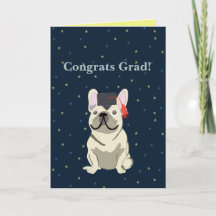 Graduación, Felicidades Graduado! Bulldog Francés
