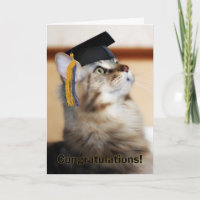 Graduación Felicitaciones al gato por usar Mortarb