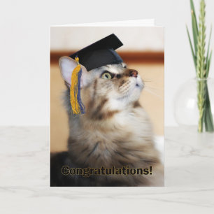 Tarjeta Graduación Felicitaciones al gato por usar Mortarb