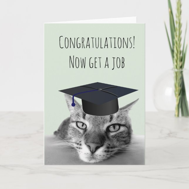 Tarjeta Graduación Felicitaciones Humor de Gato Enojado (Anverso)