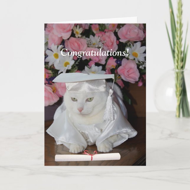 Tarjeta Graduación femenina del gato del Bonito del person (Anverso)