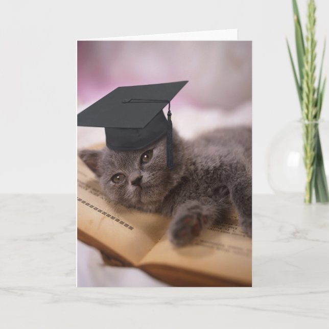 Tarjeta Graduación, gato con el gorra (Anverso)