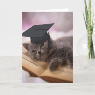 Tarjeta Graduación, gato con el gorra