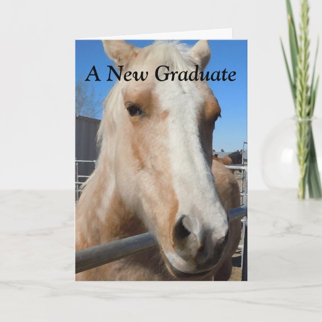 Tarjeta Graduación Graduada divertida felicita a caballo (Anverso)