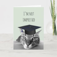 Graduación No Impresionada Gato Enojado Humor