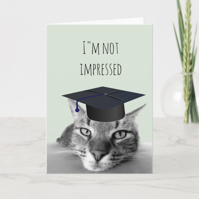 Tarjeta Graduación No Impresionado Gato Enojado Humor (Anverso)