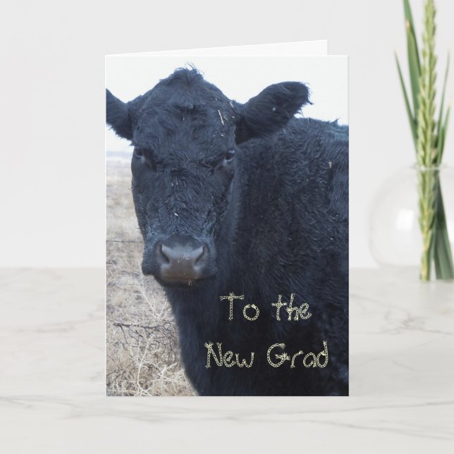 Tarjeta Graduación silenciosa felicitaciones a granja Cow  (Anverso)