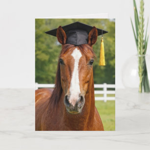 Tarjeta Graduado de caballo castaño