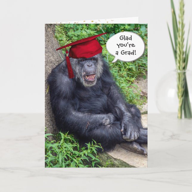 Tarjeta Graduado de Chimpanzee con tapa roja (Anverso)