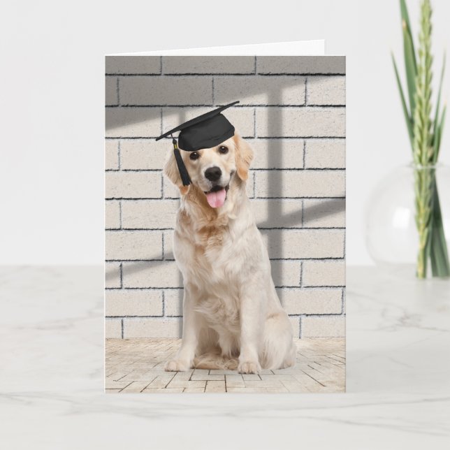 Tarjeta Graduado De Golden Retriever En Ladrillo (Anverso)