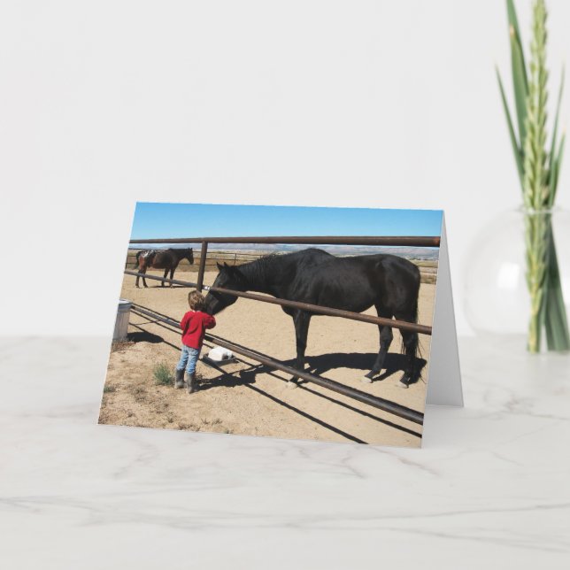 Tarjeta Graduado de vaca - Occidental (Anverso)