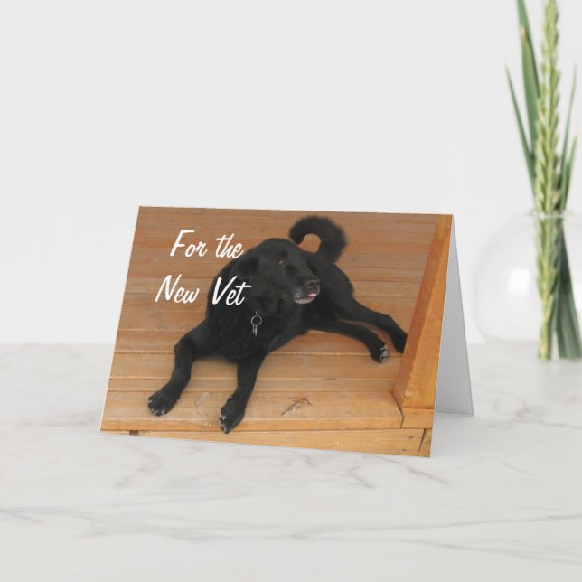 Tarjeta Graduado de Vet Canino Divertido Felicitaciones Gr (Anverso)