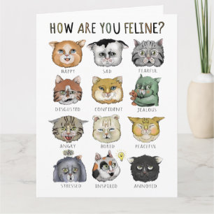Tarjeta Gráfico Divertido de Sentimientos de Gatos ¿Cómo t