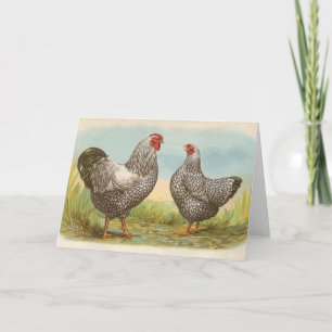 Tarjeta Graham - Pollos Wyandotte con un tono plateado