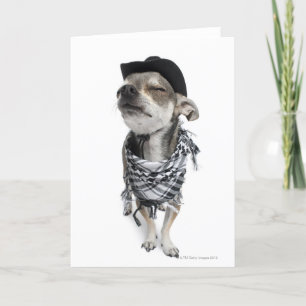 Tarjeta Gran angular de un Chihuahua con los ojos cerrados