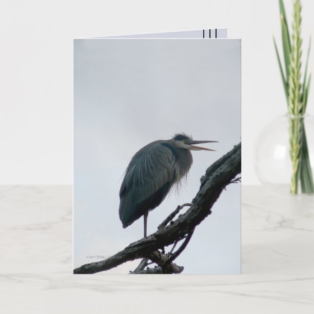 Tarjeta Gran azul de noviembre (Anverso)