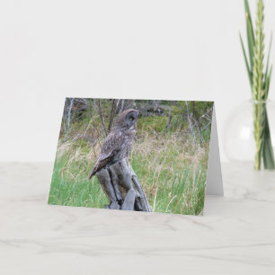 Tarjeta Gran búho gris en el salvaje