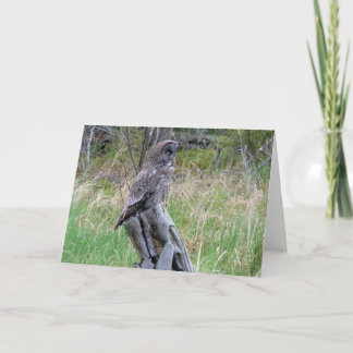 Tarjeta Gran búho gris en el salvaje