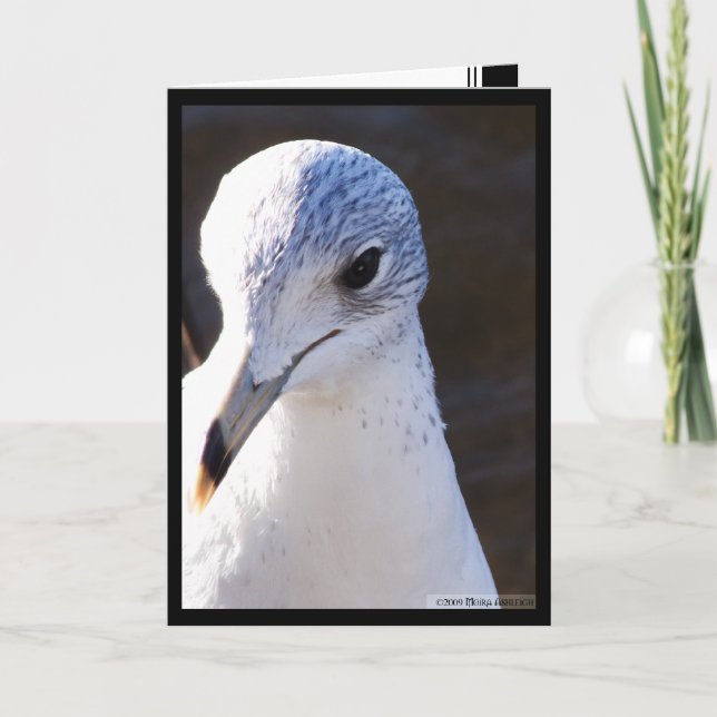 Tarjeta Gran contraste (Anverso)