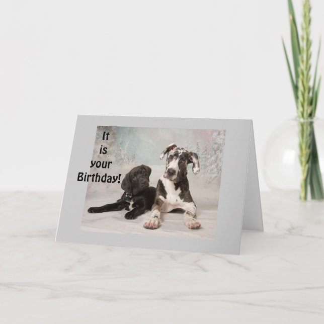TARJETA GRAN DANE DICE "DISFRUTE DE TU CUMPLEAÑOS" (Anverso)