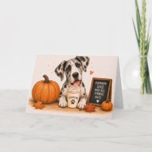 Gran Danés Pumpkin Spice