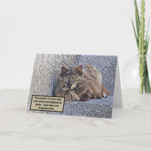 TARJETA GRAN FLUFFY CAT, SUPERIOR LOOK/CAT QUOTE