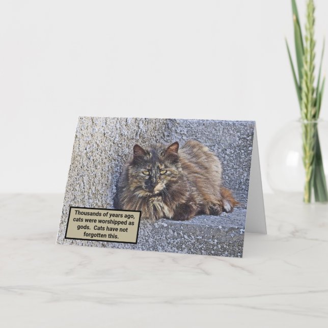 TARJETA GRAN FLUFFY CAT, SUPERIOR LOOK/CAT QUOTE (Anverso)