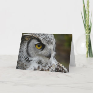 Tarjeta Gran Fotografía de Lechuza Cuerno