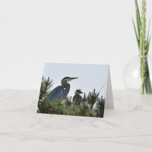 Tarjeta Gran garza azul y su bebé