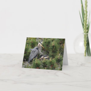 Tarjeta Gran garza azul y sus bebés