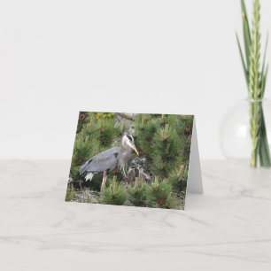 Tarjeta Gran garza azul y sus bebés