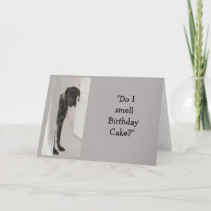 Tarjeta Gran Humor de Perro Dane Pastel de Cumpleaños Dive