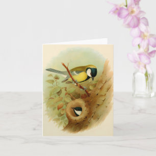 Tarjeta Gran ojo - pájaro colorido, arte