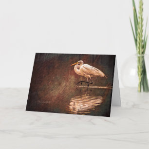 Tarjeta Gran Pájaro Egresivo Blanco En El Agua
