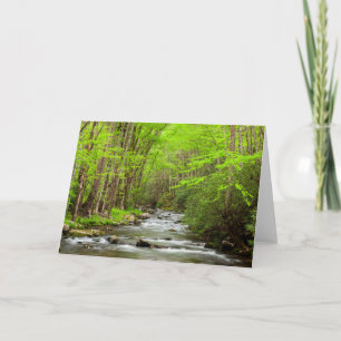 Tarjeta Gran Parque Nacional de Montañas Smoky Carolina de