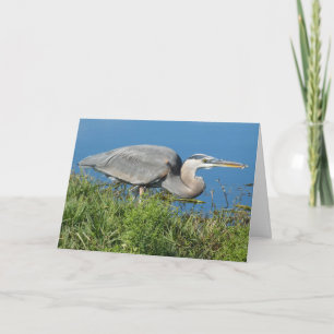 Tarjeta "Gran Perón Azul con pescado 1."Tarjeta de felicit