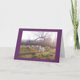 Tarjeta Gran Pyr y multitud