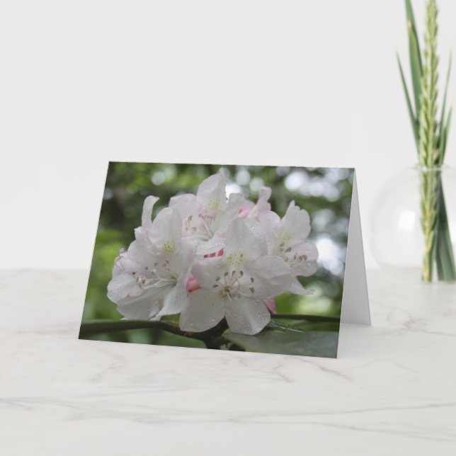 Tarjeta Gran rododendro (Anverso)