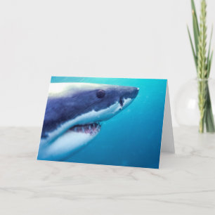 Tarjeta Gran Tiburón Blanco   Sudáfrica