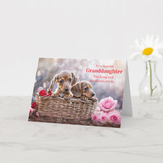 Tarjeta Granddaughter Happy Valentines Day Cute Puppy Dogs