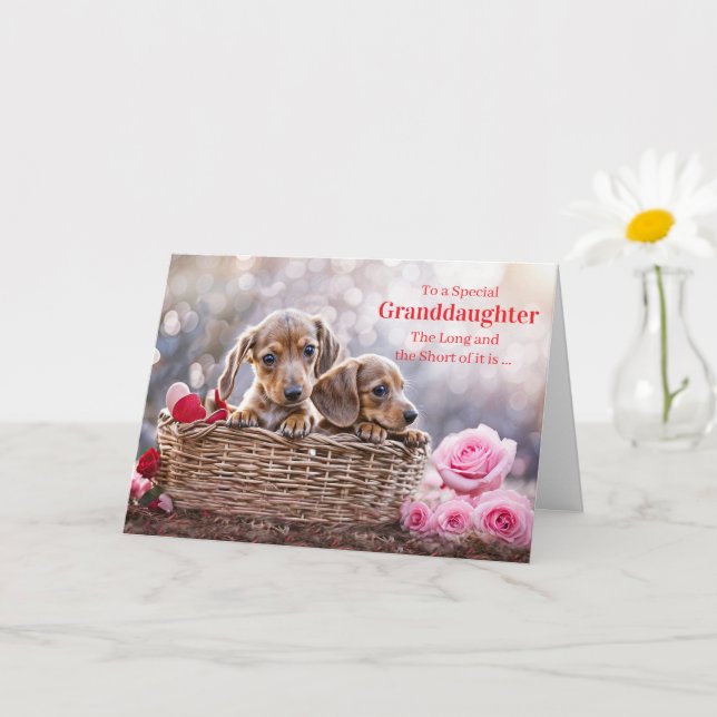 Tarjeta Granddaughter Happy Valentines Day Cute Puppy Dogs (Planta pequeña)