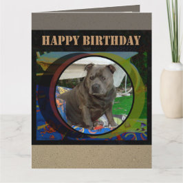 Tarjeta grande | Cumpleaños de Staffordshire Bull